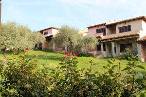 a house with a yard with red flowers and trees at Residence Approdo Verde in San Teodoro +44 photos