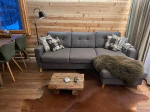 a living room filled with furniture and a dog at Chalet Tannegg in Saas-Fee
