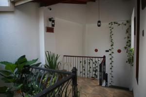 Fotografie z fotogalerie ubytování Colombo Orchid Villa v destinaci Colombo
