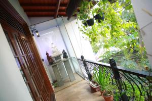 Zahrada ubytování Colombo Orchid Villa