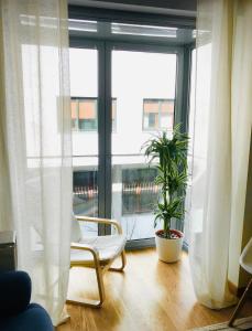 Habitación con ventana grande con silla y plantas. en Apartamento Centro Histórico en Pontevedra