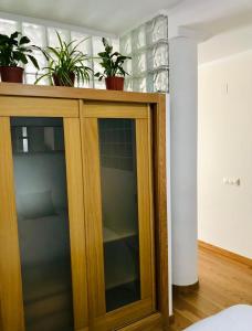a wooden cabinet with potted plants on top of it at Apartamento Centro Histórico in Pontevedra