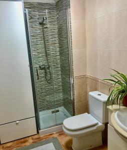 a bathroom with a shower and a toilet and a sink at Apartamento Centro Histórico in Pontevedra