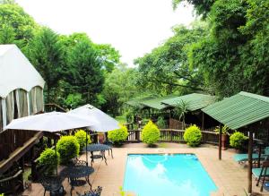 - une piscine avec des tables, des parasols et des chaises dans l'établissement Sakabula Country Lodge, à Camperdown