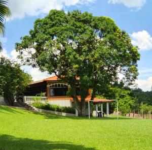 a large tree in front of a house at Linda Chácara - Águas de São Pedro - Próximo ao Parque Thermas in Águas de São Pedro