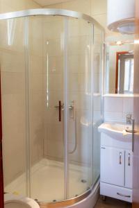 a bathroom with a shower and a sink at Apartman Sanja Divčibare in Divčibare