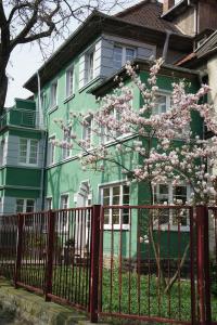 ein grünes Haus mit einem blühenden Baum davor in der Unterkunft Pension No. 55 in Erfurt
