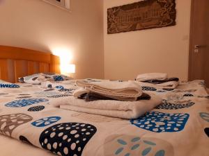 Posteľ alebo postele v izbe v ubytovaní Apartment Moravský Kras