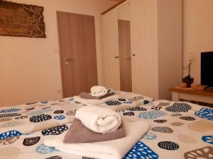Posteľ alebo postele v izbe v ubytovaní Apartment Moravský Kras