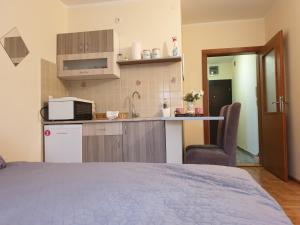 een kamer met een keuken en een bed in een kamer bij Studio Dunja in Vrnjačka Banja