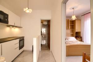 TV a/nebo společenská místnost v ubytování Apartments Sosic