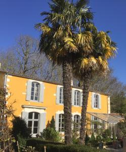 dos palmeras delante de una casa amarilla en Chambres d'hôtes La Borderie du Gô près de La Rochelle - Nieul, en Nieul-sur-Mer