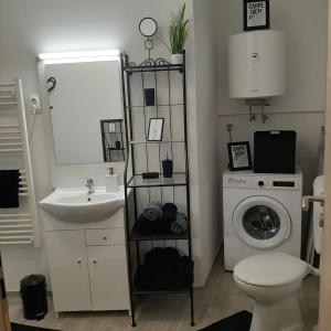 uma casa de banho com um lavatório e uma máquina de lavar roupa em Apartment Mansarda em Maribor