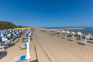 a beach with a lot of chairs and umbrellas at BETULLE Lido Altanea in Caorle