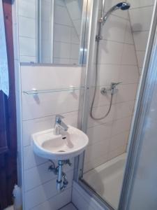 een badkamer met wastafel en douche bij Waldhaus, Ski- und Wanderhütte in Breitenbrunn