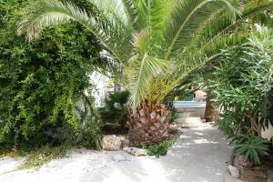 Ein Garten an der Unterkunft Riumar "Noella", 200m to beach, private pool, On-Site-Service, dog beach