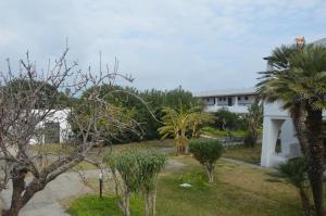 A garden outside Casa Luvi