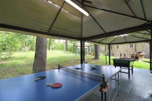 un tavolo da ping pong in una tenda con una palla da ping pong di Vaniglia a Gaiole in Chianti
