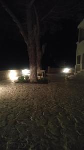 Fotografie z fotogalerie ubytování Tzanetos Seaside v destinaci Kyparissia
