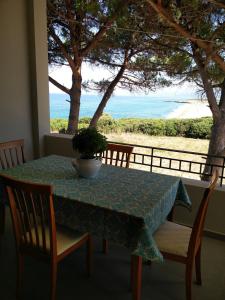 基帕里夏Tzanetos Seaside的一张桌子,上面有花瓶,享有海景