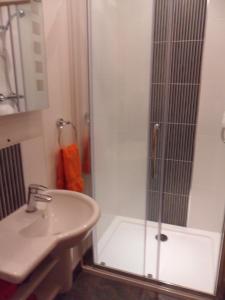 a bathroom with a shower and a sink at 2 Bed Barn near Newport Shropshire in Newport