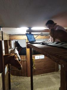 Fotografie z fotogalerie ubytování letní domek, koně, lezecká stěna, fitness, NOVĚ i možnost spaní nad hlavami koní!!! v destinaci Čížkov