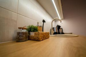 um balcão de cozinha com uma planta num cesto ao lado de um lavatório em Otepää Holiday Apartment em Otepää