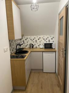 una pequeña cocina con fregadero y microondas en Studio u Beaty, en Grywałd