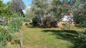 Zahrada ubytování Apartman Ruža