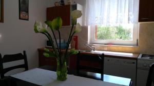 Kuchyň nebo kuchyňský kout v ubytování Apartman Ruža
