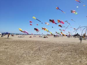 eine Gruppe von Menschen, die Drachen am Strand fliegen in der Unterkunft Bel appt T2 4p confortable avec vue mer imprenable in Narbonne-Plage