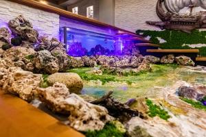 a model of a aquarium with rocks and plants at Kraal Hotel Vlore in Vlorë