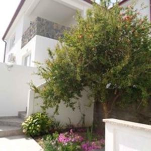 Vonkajšia záhrada v ubytovaní Apartments in Lopar - Insel Rab 40853