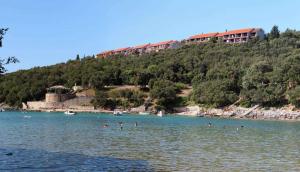 a group of people swimming in a body of water at Apartments in Pavicini - Istrien 40814 in Pavicini