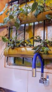 Foto de la galería de The Host Puerto Iguazú en Puerto Iguazú