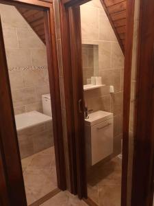 Ένα μπάνιο στο Apartment in Balatonszarszo 20073