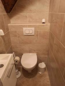 Ένα μπάνιο στο Apartment in Balatonszarszo 20073 +7 φωτογραφίες