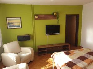 ein Wohnzimmer mit einem Sofa und einem TV an einer grünen Wand in der Unterkunft Apartment in Postojna 40258 in Postojna