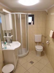 a bathroom with a shower and a toilet and a sink at Apartment in Postojna 40241 in Postojna