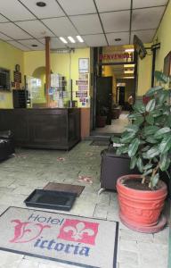 a lobby with a potted plant on the floor at Hotel Victoria in Puebla