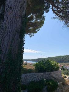 Fotografie z fotogalerie ubytování Apartments in Rab/Insel Rab 39960 v Rabu