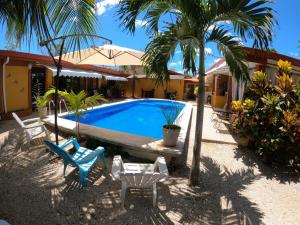 uma piscina com cadeiras e palmeiras junto a um edifício em Cabinas El Colibri em Carrillo