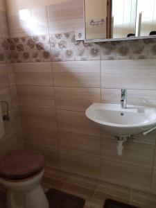 y baño con aseo y lavamanos. en Holiday Homes in Balatonakali 37748, en Balatonakali