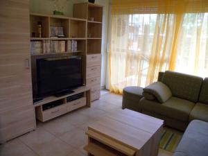 sala de estar con sofá y TV en Apartment in Balatonöszöd 20195, en Balatonőszöd