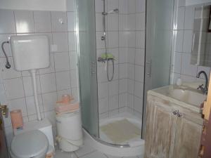 y baño con ducha, aseo y lavamanos. en Holiday home Cserszegtomaj/Balaton 38183, en Cserszegtomaj