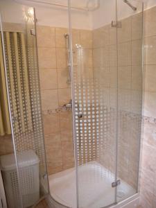 a shower with a glass door in a bathroom at Holiday home in Balatonfenyves 38166 in Balatonfenyves