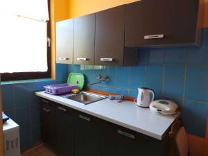 Køkken eller tekøkken på Apartment in Valbandon/Istrien 8608