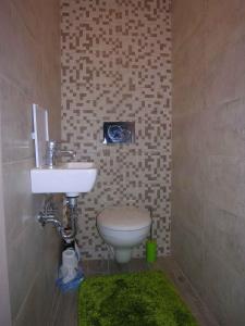 Baño pequeño con lavabo y aseo en Apartment in Balatonlelle 36821, en Balatonlelle