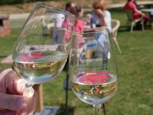 Ποτά στο Apartment in Balatonlelle 36821 +19 φωτογραφίες