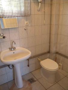 ein Bad mit einem Waschbecken und einem WC in der Unterkunft Holiday home in Balatonmariafürdo 31229 in Balatonmáriafürdő